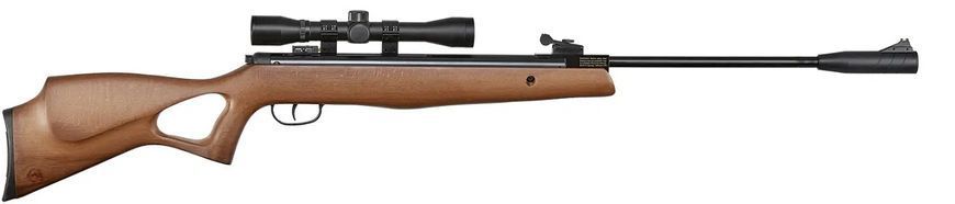 Пневматическая винтовка Beeman Hound GR 4x32 - 2