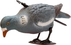 Подсадной голубь Hunting Birdland кормящийся - 1